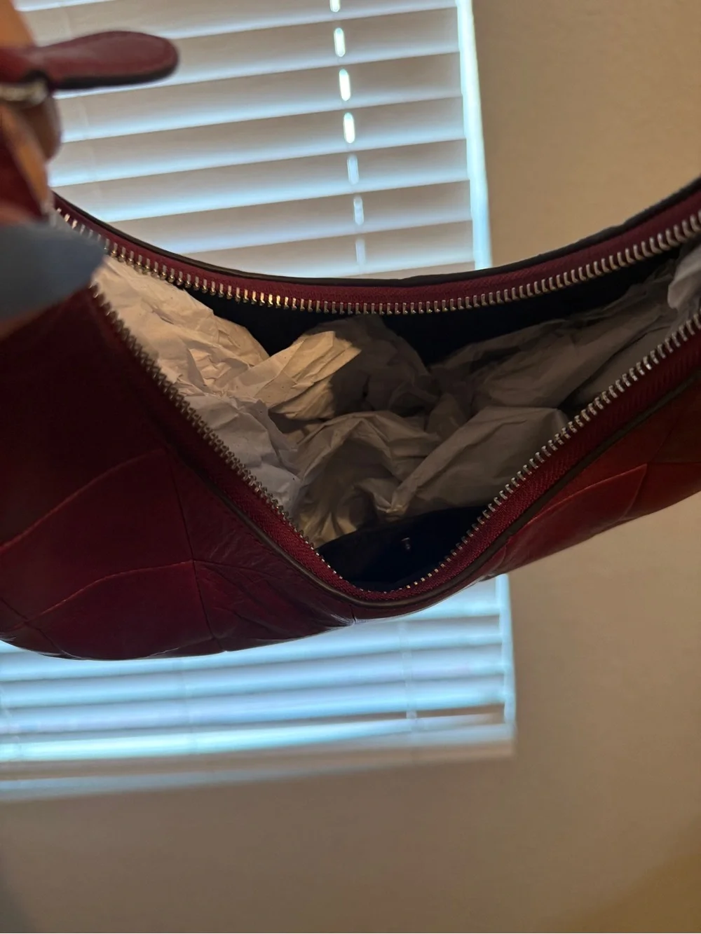 Coachtopia Alter Ego Crescent Shoulder Bag in Ruby